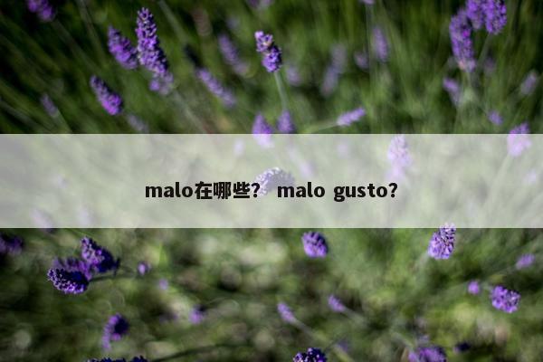 malo在哪些？ malo gusto？