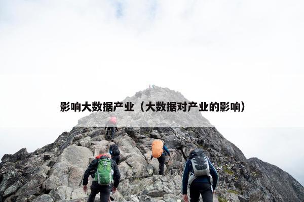 影响大数据产业（大数据对产业的影响）