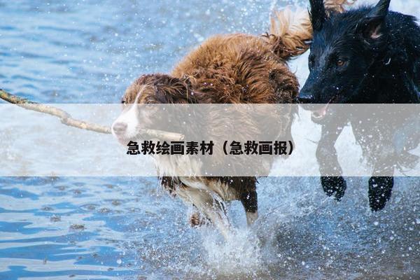急救绘画素材（急救画报）
