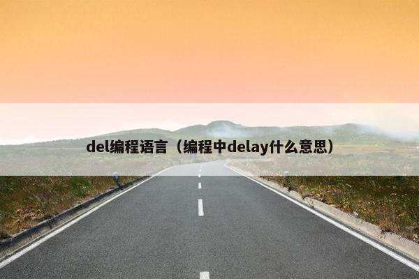 del编程语言（编程中delay什么意思）