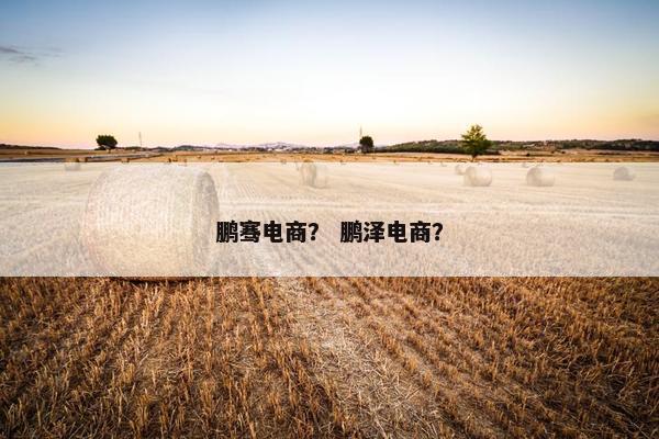 鹏骞电商? 鹏泽电商? 鹏骞电商? 鹏泽电商?
