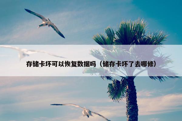 存储卡坏可以恢复数据吗（储存卡坏了去哪修）