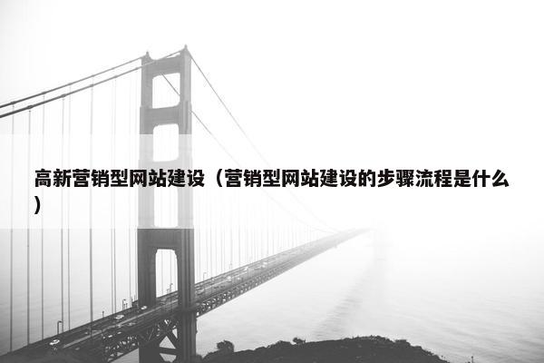 高新营销型网站建设（营销型网站建设的步骤流程是什么）