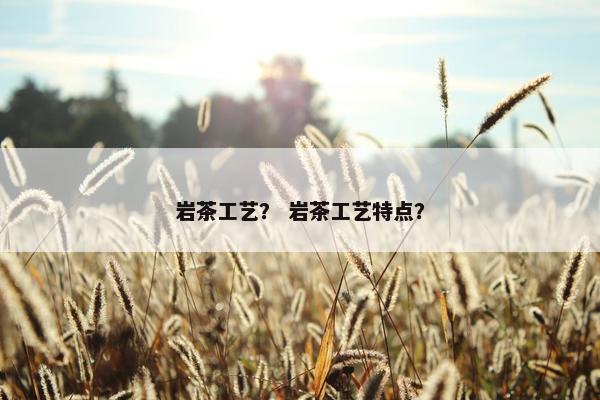 岩茶工艺？ 岩茶工艺特点？