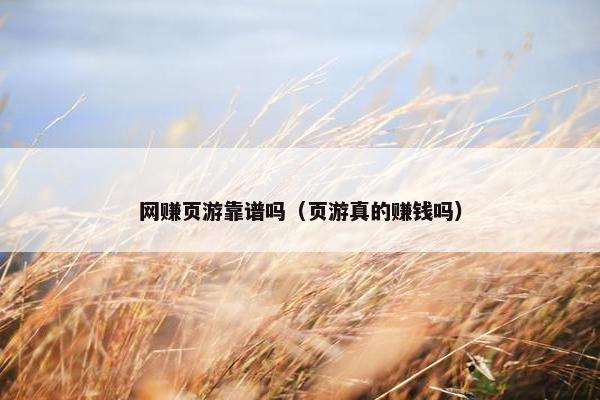 网赚页游靠谱吗（页游真的赚钱吗）