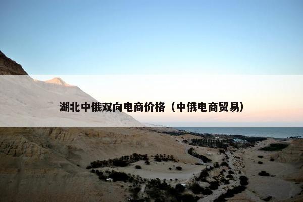 湖北中俄双向电商价格（中俄电商贸易）