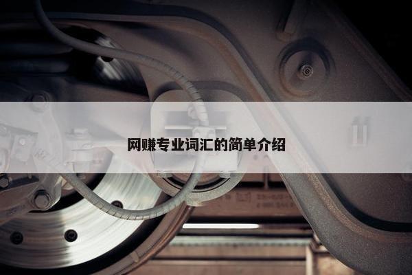 网赚专业词汇的简单介绍