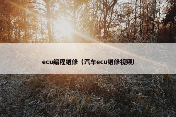 ecu编程维修（汽车ecu维修视频）