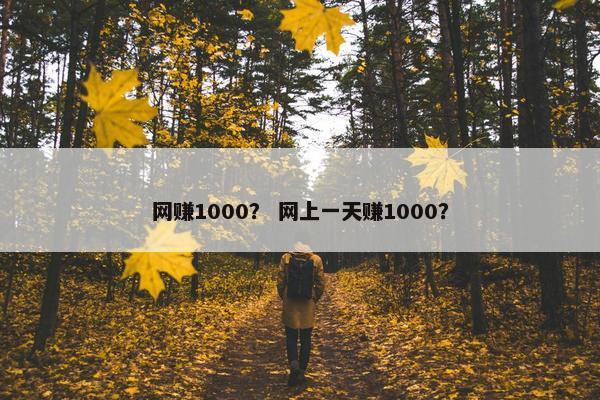 网赚1000？ 网上一天赚1000？
