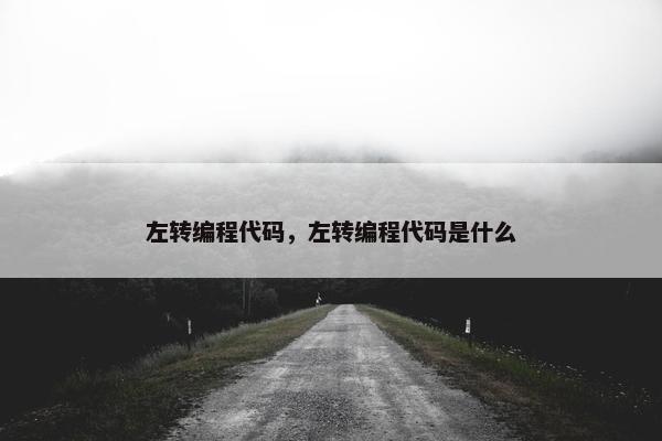 左转编程代码，左转编程代码是什么