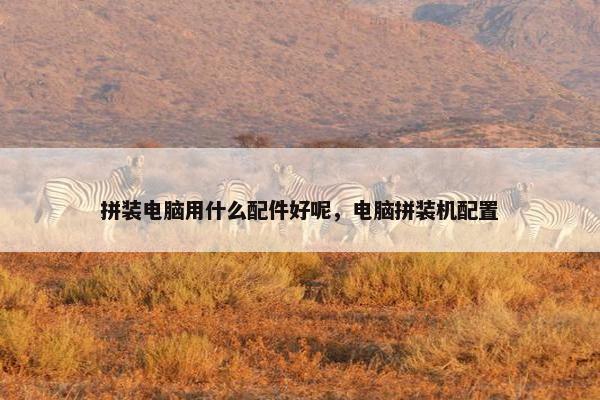 拼装电脑用什么配件好呢，电脑拼装机配置