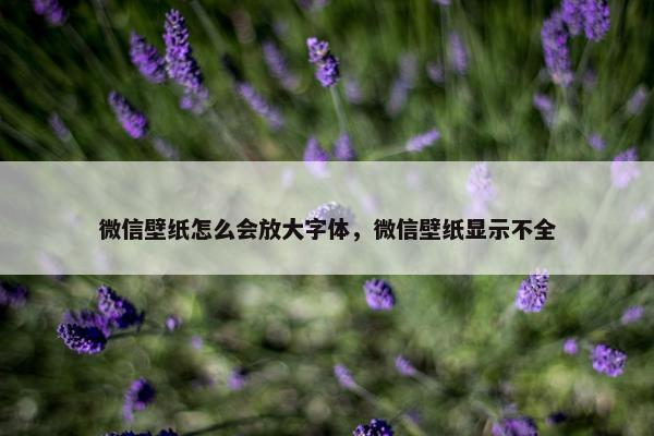 微信壁纸怎么会放大字体，微信壁纸显示不全