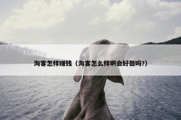 淘客怎样赚钱（淘客怎么样啊会好做吗?）