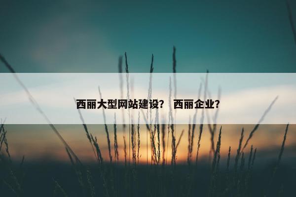 西丽大型网站建设？ 西丽企业？