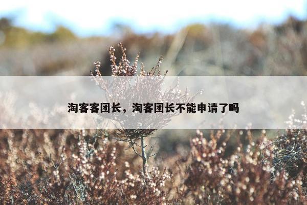 淘客客团长，淘客团长不能申请了吗