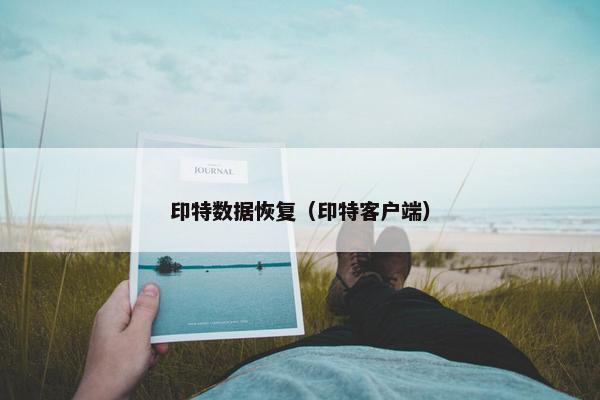 印特数据恢复（印特客户端）