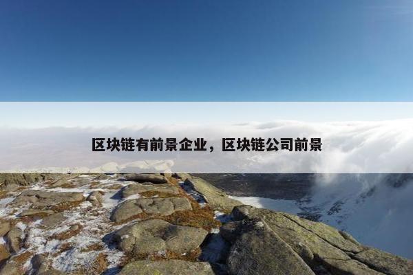 区块链有前景企业，区块链公司前景