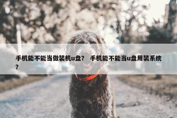 手机能不能当做装机u盘？ 手机能不能当u盘用装系统？