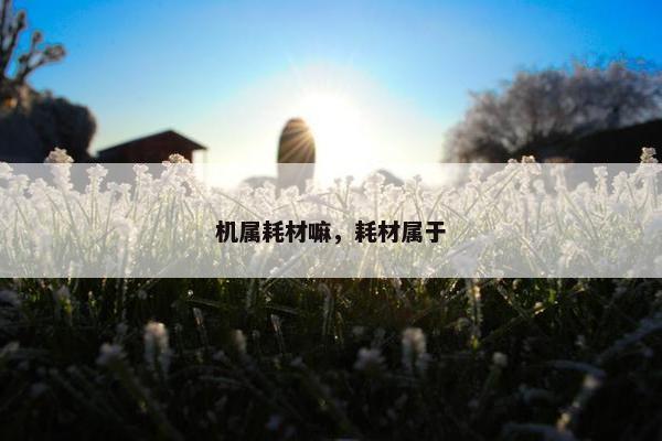 机属耗材嘛，耗材属于