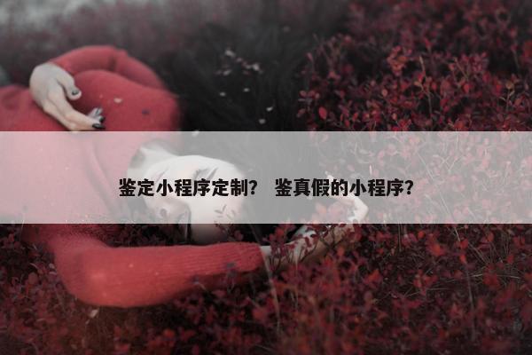 鉴定小程序定制？ 鉴真假的小程序？