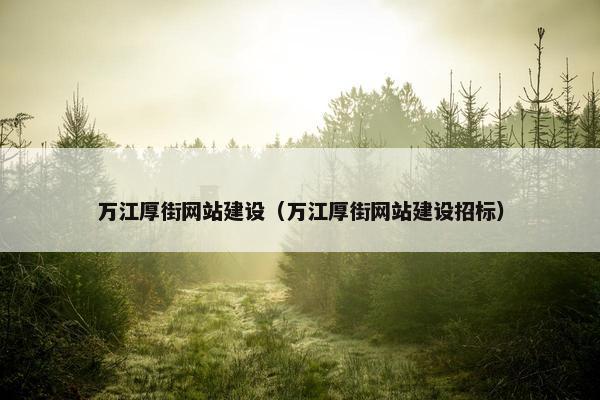 万江厚街网站建设（万江厚街网站建设招标）
