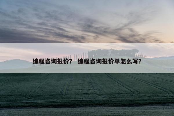编程咨询报价？ 编程咨询报价单怎么写？