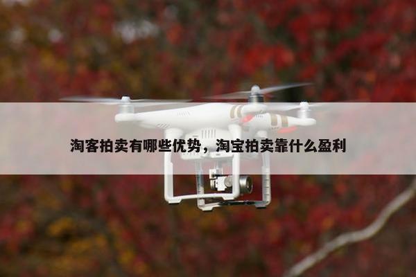 淘客拍卖有哪些优势，淘宝拍卖靠什么盈利