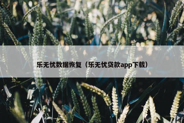 乐无忧数据恢复（乐无忧贷款app下载）