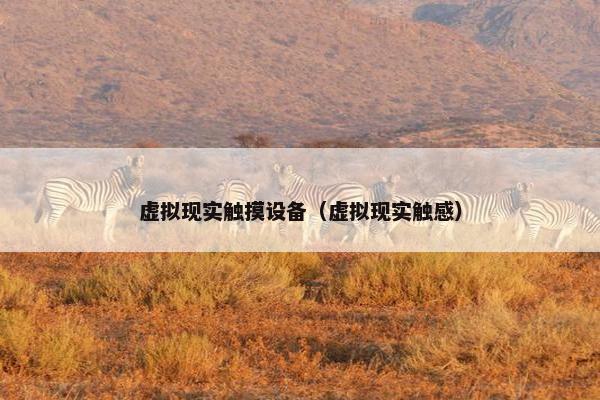 虚拟现实触摸设备（虚拟现实触感）