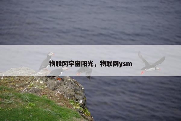 物联网宇宙阳光，物联网ysm