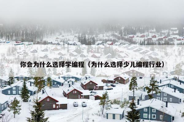 你会为什么选择学编程（为什么选择少儿编程行业）