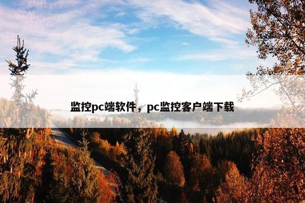 监控pc端软件，pc监控客户端下载