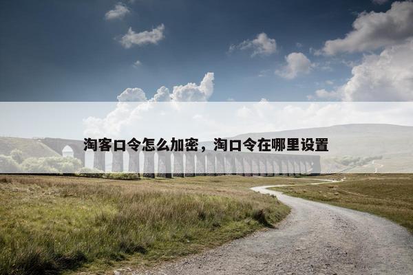 淘客口令怎么加密，淘口令在哪里设置