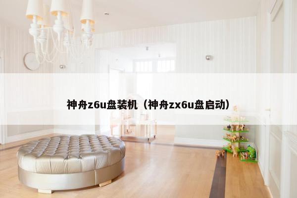 神舟z6u盘装机（神舟zx6u盘启动）