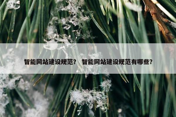 智能网站建设规范？ 智能网站建设规范有哪些？