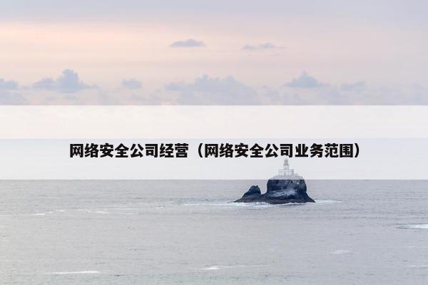 网络安全公司经营（网络安全公司业务范围）