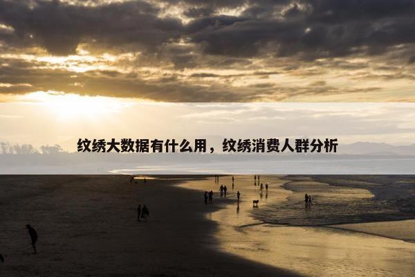 纹绣大数据有什么用，纹绣消费人群分析
