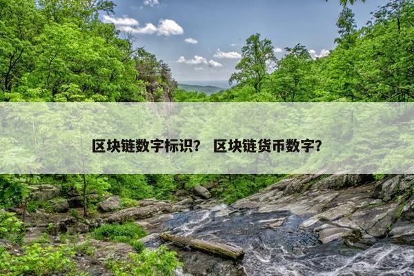 区块链数字标识？ 区块链货币数字？