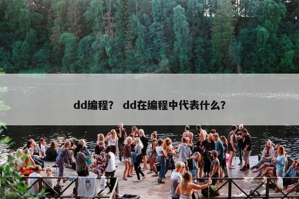 dd编程？ dd在编程中代表什么？