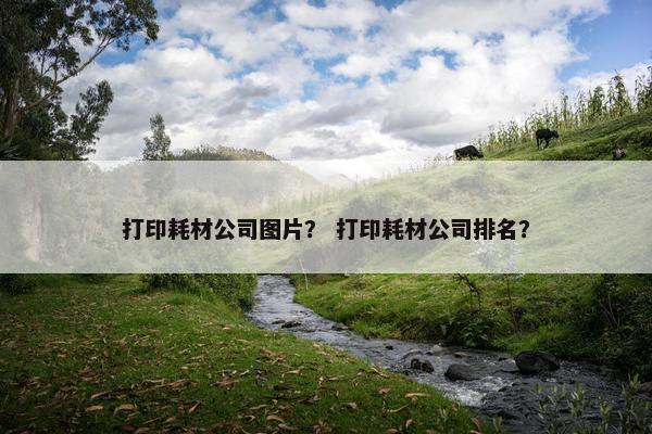 打印耗材公司图片？ 打印耗材公司排名？