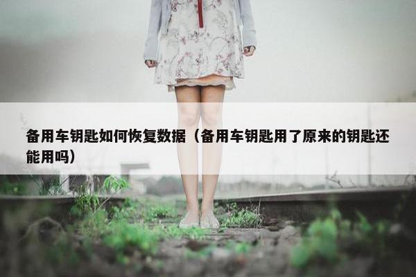 备用车钥匙如何恢复数据（备用车钥匙用了原来的钥匙还能用吗）