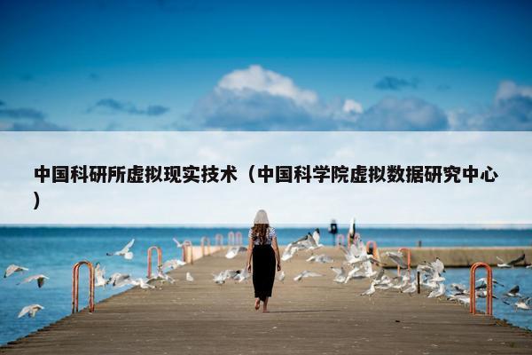 中国科研所虚拟现实技术（中国科学院虚拟数据研究中心）