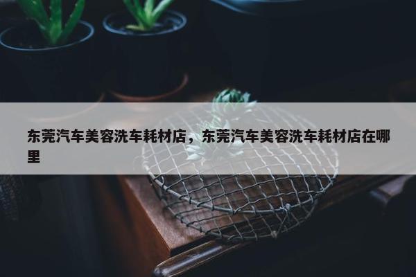 东莞汽车美容洗车耗材店，东莞汽车美容洗车耗材店在哪里