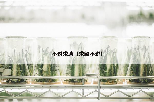 小说求助（求解小说）