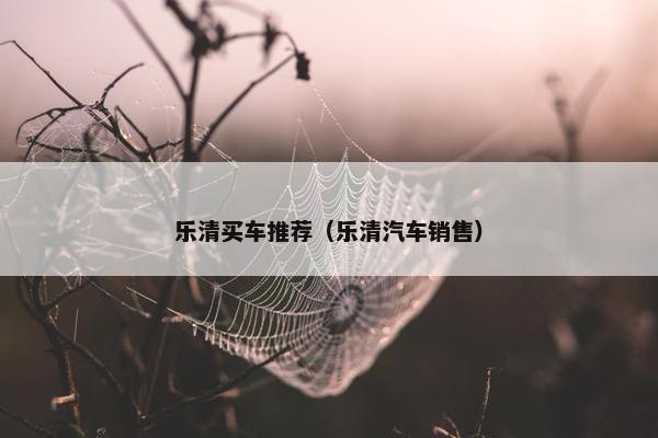 乐清买车推荐（乐清汽车销售）