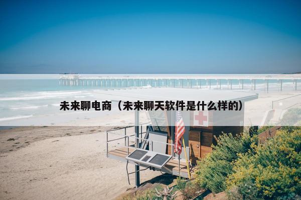 未来聊电商（未来聊天软件是什么样的）