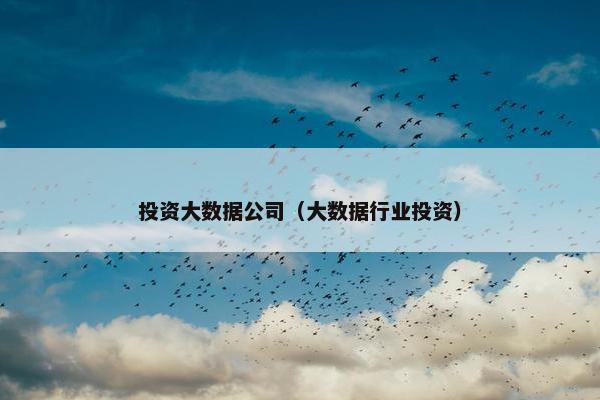 投资大数据公司（大数据行业投资）