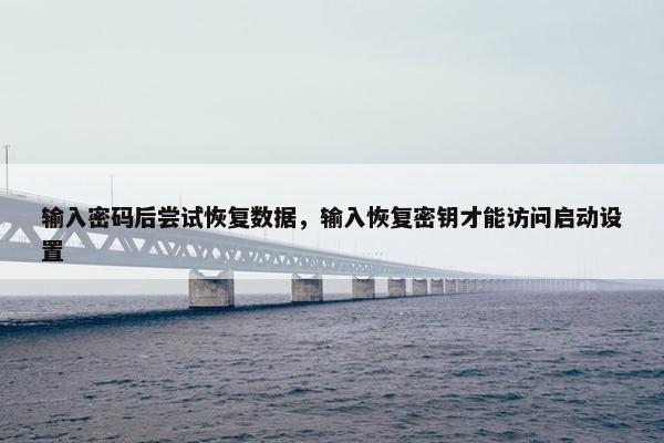 输入密码后尝试恢复数据，输入恢复密钥才能访问启动设置