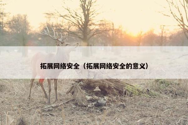 拓展网络安全（拓展网络安全的意义）