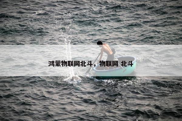 鸿蒙物联网北斗，物联网 北斗